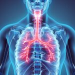 Sistema Respiratorio y Cardiovascular